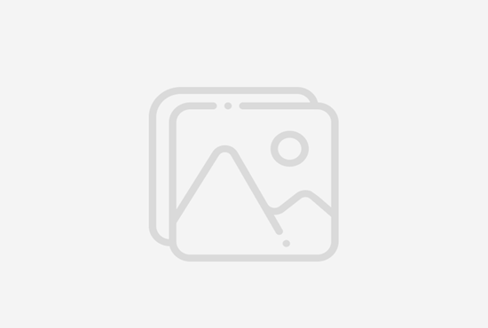 Top Annual Events in Long Beach, United States You Shouldn’t Miss